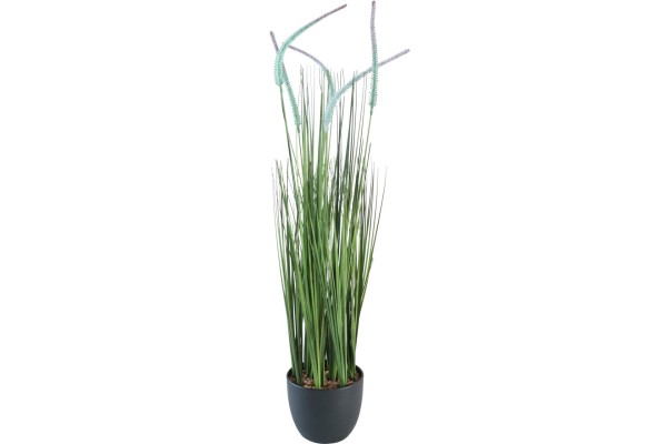 Deko Pflanze Kunstpflanze Silberhaargras mit Übertopf 75 cm Höhe
