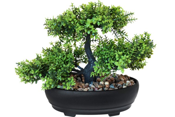 Kunstpflanze Bonsai Buchsbaum 26 x 20 cm im Topf mit Echtsteindeko